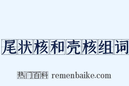 尾状核和壳核组词是什么意思的图片
